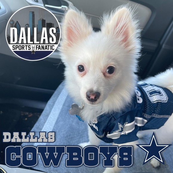 Meet your Posher, Amy - Picture 1 of 1